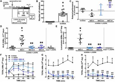 ATP Signaling Controlling Dyskinesia Through P2X7 Receptors